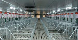 養殖企業污水壓濾處理